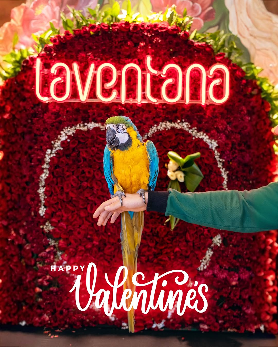 Dessert presentation